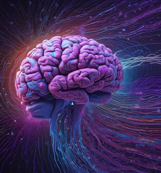 Brain processes colors before words - neural pathways showing faster